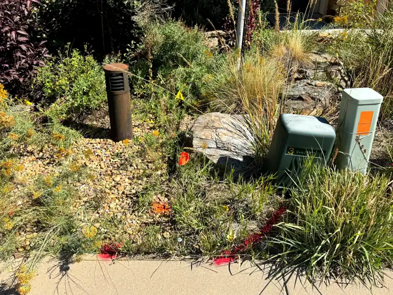Orange and red locate paint and flags at utility pedestals in a landscaped bed